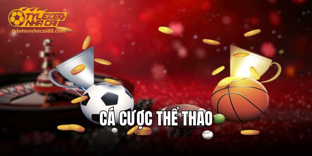 Không khí cuồng nhiệt khi cược thể thao tại nhà cái
