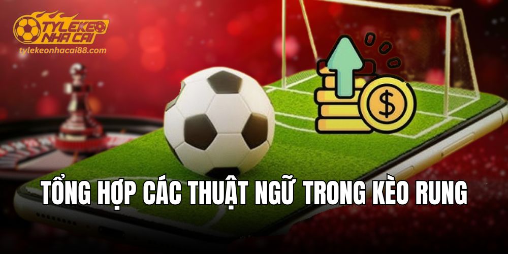 Kèo rung có nhiều thuật ngữ rất quan trọng