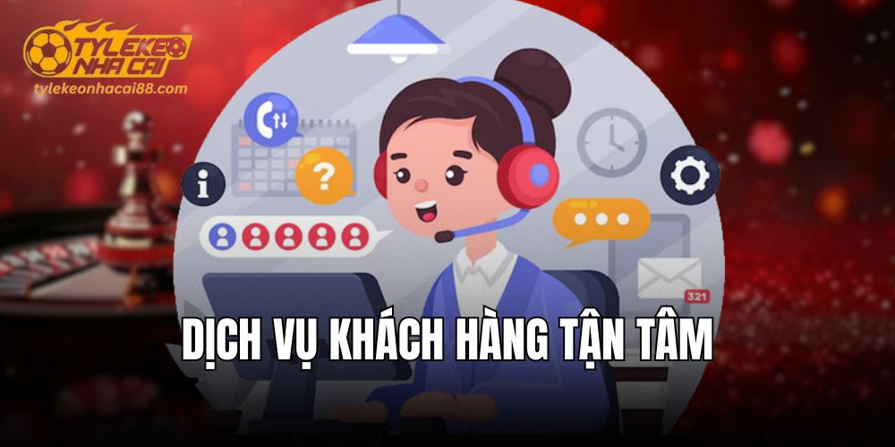 Trải nghiệm người dùng trên máy tính và di động đều tối ưu